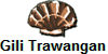 Gili Trawangan & Gili Meno