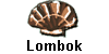 Lombok