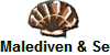 Malediven & Seychellen
