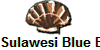 Sulawesi Blue Bay