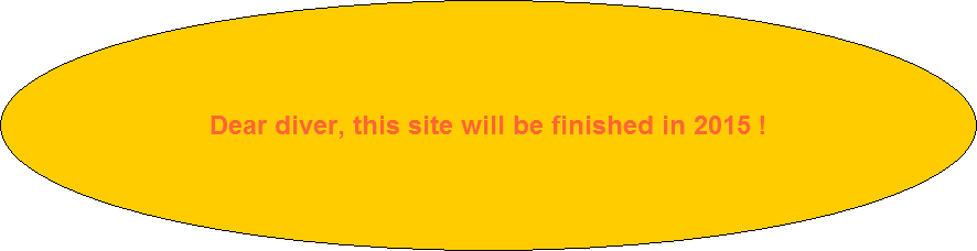  Dear Diver, this sites coming shortly, please use until this time the german version 