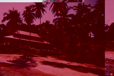 Beach am D�coconut Lagoon
