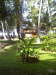 Rockside Garden