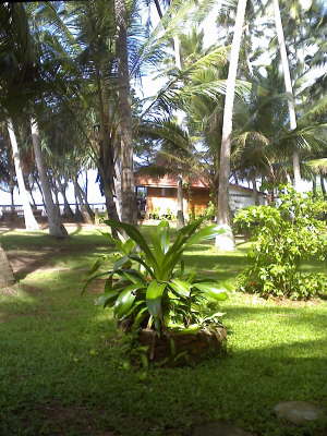 Rockside Garden