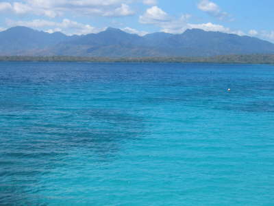 Ausblick vom Steg Waka Shorea