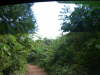 Dschungeltour ..