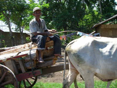 Alternative Fortbewegung in Manado