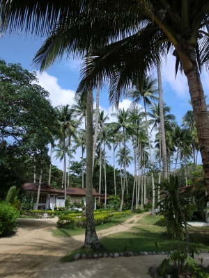 Charlie Resort Garten