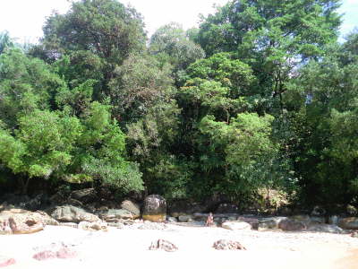 2nd Beach