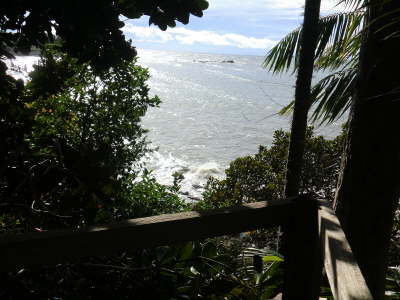 Ausblick Treehouse No. 10