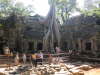 Angkor Wat