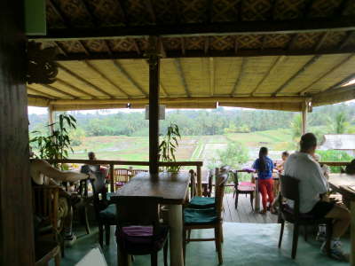 Organic Restaurant