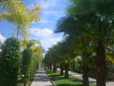 Promenade THE BEACH