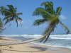 ohne Worte direkt am Beach der rockside Guesthouse
