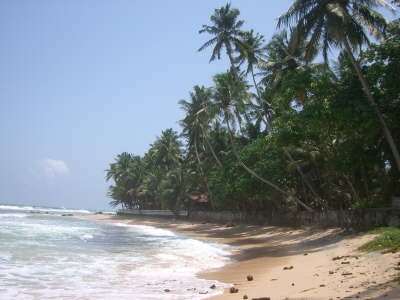 Beach am Rockside