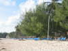 Bavaro Beach