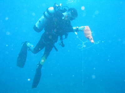 Einer der Dive-Guides der Aqua-Divers