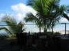 Ausblick a us dem Beachcrestaurant
