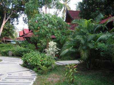 Garten des Sunrise Tropical 