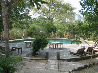 Pool des Waka Shorea