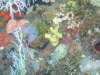 die f�rs Foto immer sch�n still halten :-)