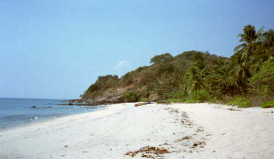 Hochbetrieb am Beach