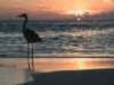 Abendd�mmerung